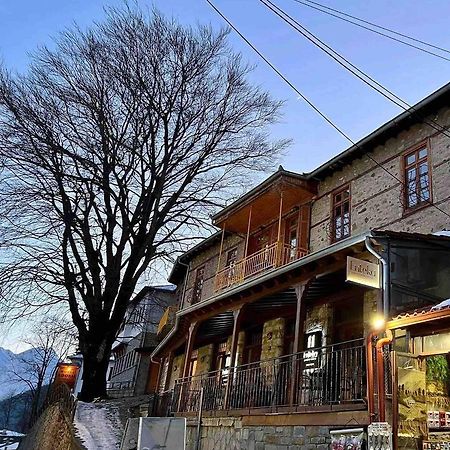 11 Luxury Apartments Μέτσοβο Εξωτερικό φωτογραφία
