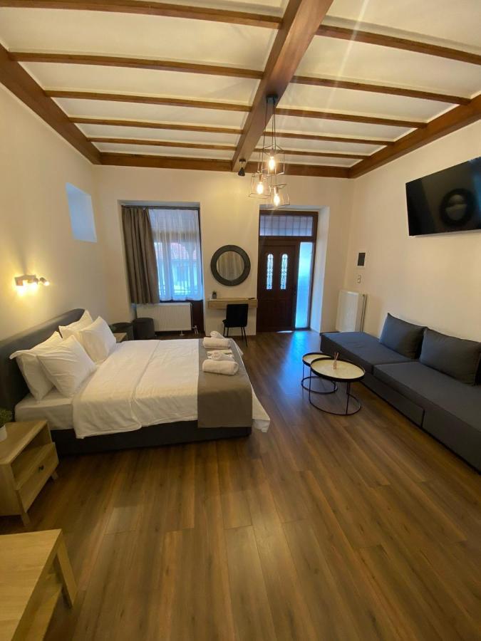 11 Luxury Apartments Μέτσοβο Εξωτερικό φωτογραφία