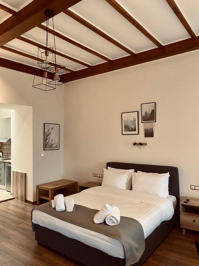 11 Luxury Apartments Μέτσοβο Εξωτερικό φωτογραφία