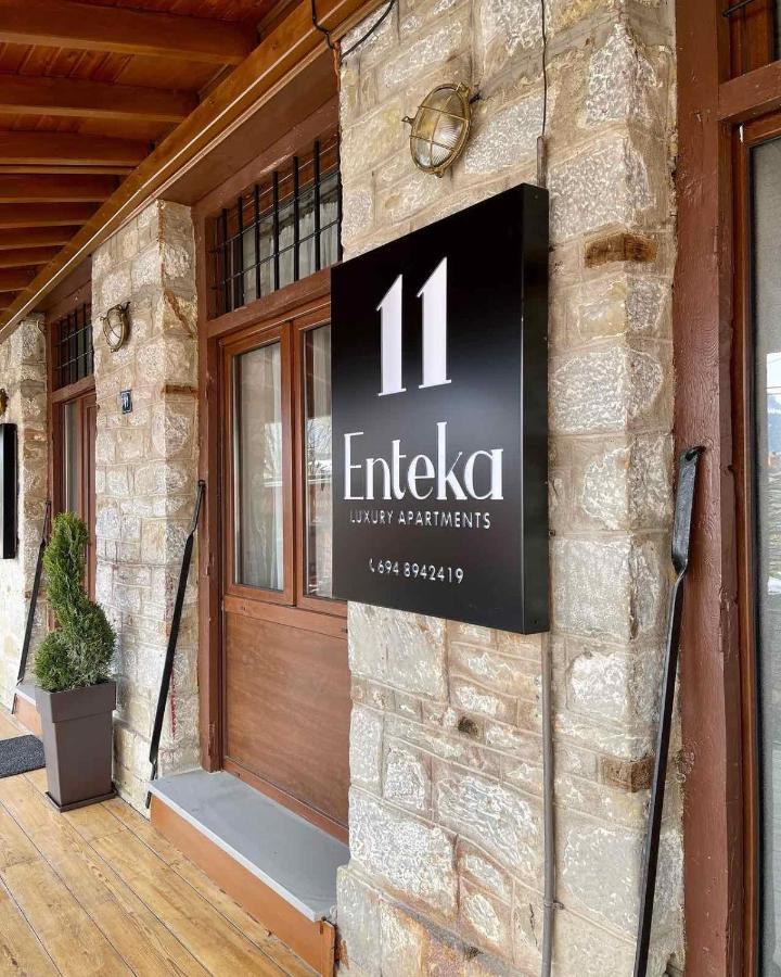 11 Luxury Apartments Μέτσοβο Εξωτερικό φωτογραφία